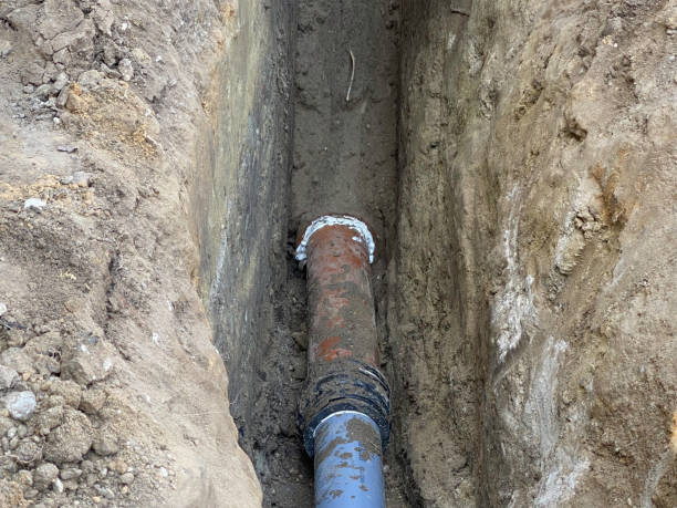 Best Flood damage cleanup  in Galatia, IL