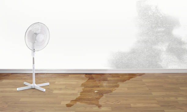 Best Carpet water damage restoration  in Galatia, IL