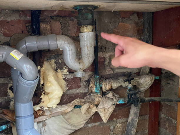 Best 24-hour water damage restoration  in Galatia, IL